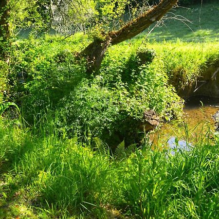 Plourivo Le Domaine Du Pont Canon מראה חיצוני תמונה