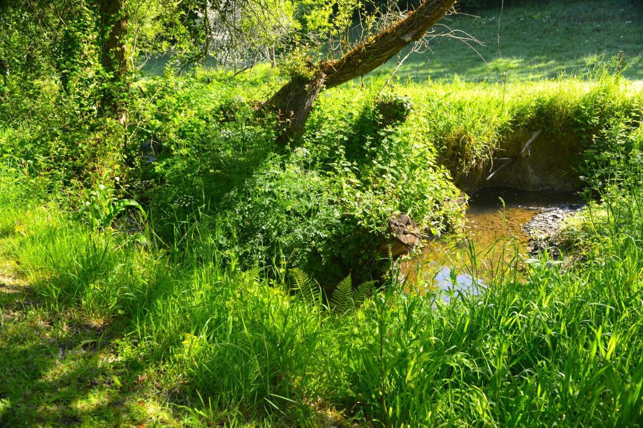 Plourivo Le Domaine Du Pont Canon מראה חיצוני תמונה